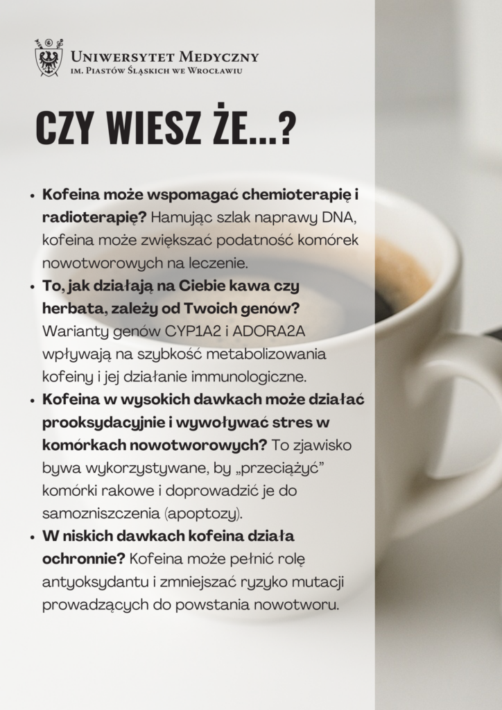 The Potential of Caffeine in Anticancer Therapy